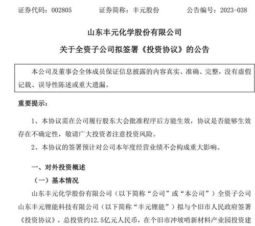 12.5亿 丰元股份计划投建锂电池正极材料一体化项目